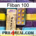 Fliban 100 new06